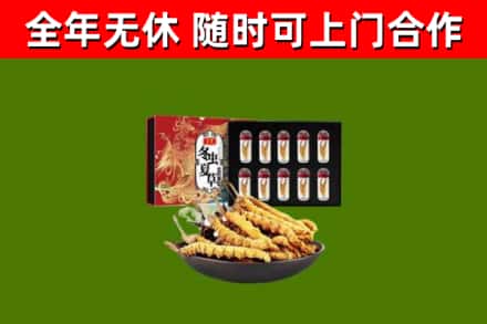 巨野回收冬虫夏草价格