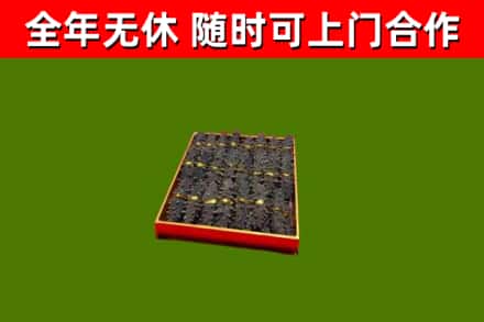 巨野回收海参